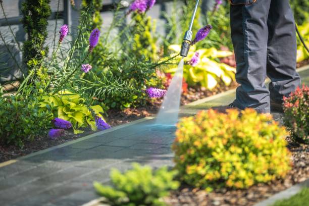 Professional Pressure Washing Services in Star City, WV